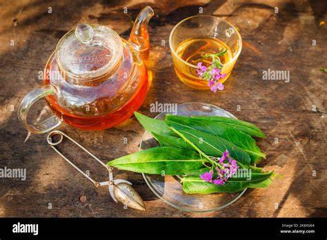Tasse de thé et fleurs fraîches