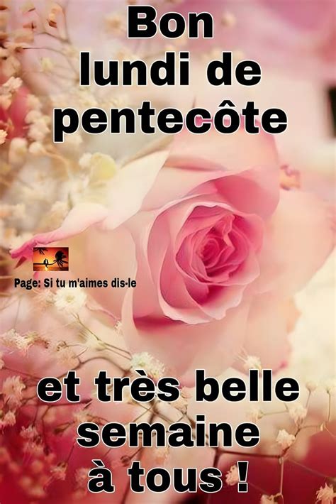 Roses délicates pour le lundi de Pentecôte