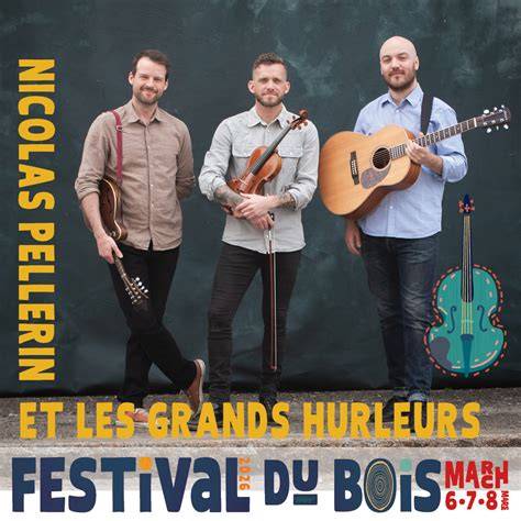 groupe folk rock français guitare violon
