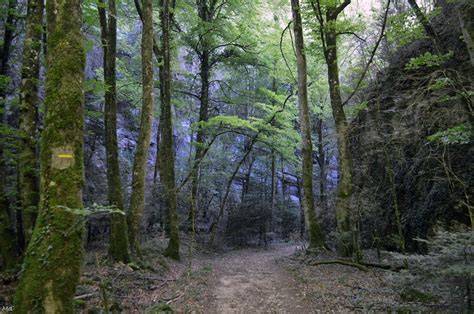 Forêt de Saoû et randonnée familiale