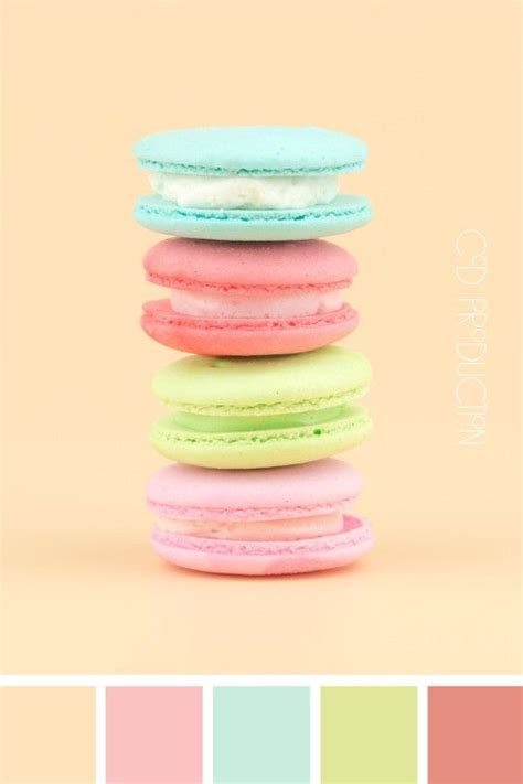 palette de couleurs macarons elegant