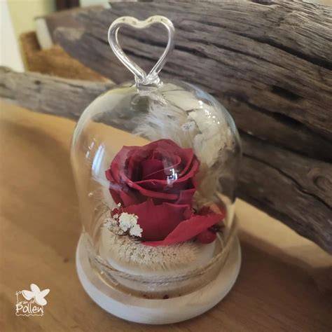 rose rouge gâteau sous cloche verre