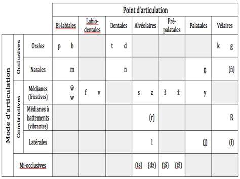 schéma articulation consonnes et voyelles