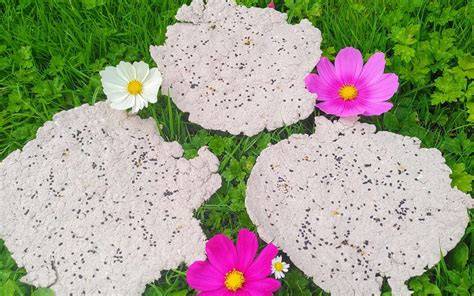 Plantation papier ensemencé fleurs