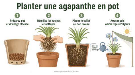 infographie étapes faire-part à planter