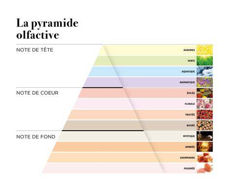 frise olfactive et notes clés