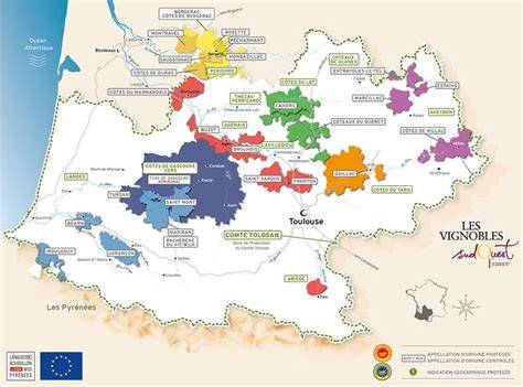 Vignoble du Madiran et dégustation de vins