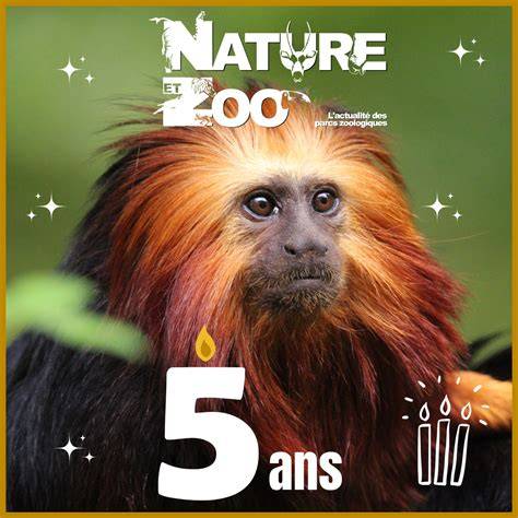 image du zoo et des allées pavées