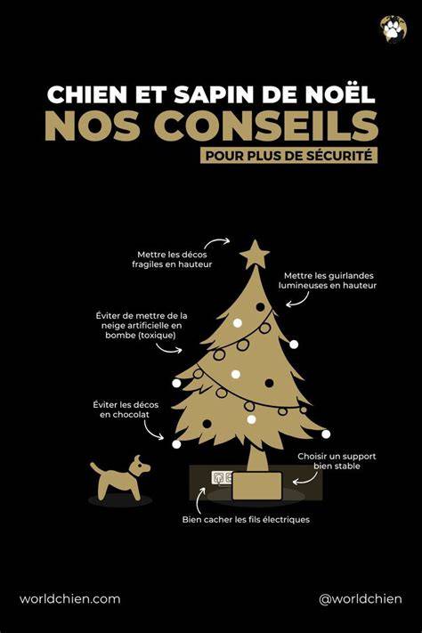 Conseils sécurité pour décoration de sapin
