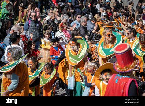Illustration de défilés et costumes colorés du Carnaval