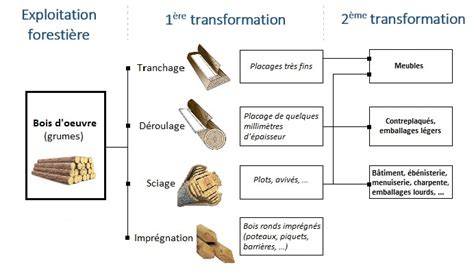 Schéma des essences et usages du bois