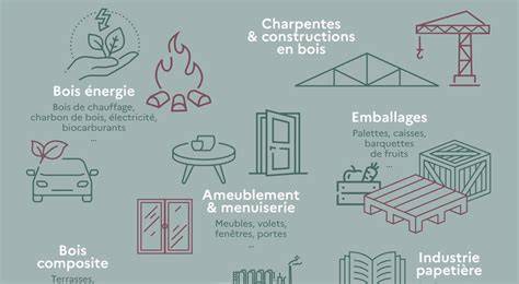 Infographie sur les utilisations du point-virgule