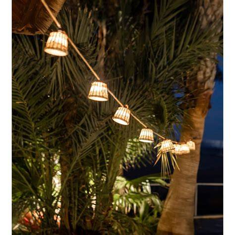 guirlande lumineuse nature nature